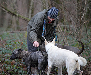 pension des chien dans le Doubs