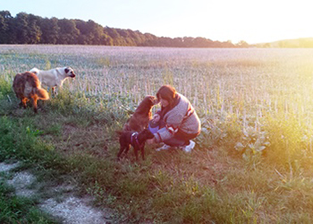 chien en promenade et en pension près de Dole pension, chien, jura