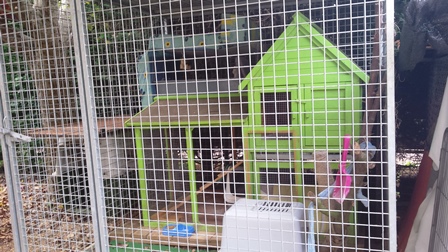 pension pour chat dans Dampierre, Saint Vit