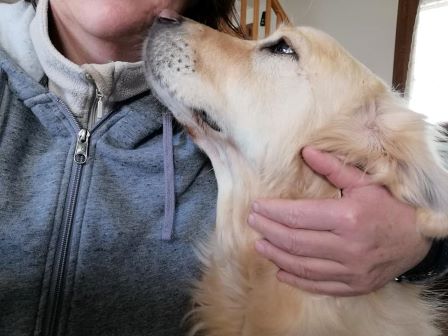 pension des chiens dans le Doubs